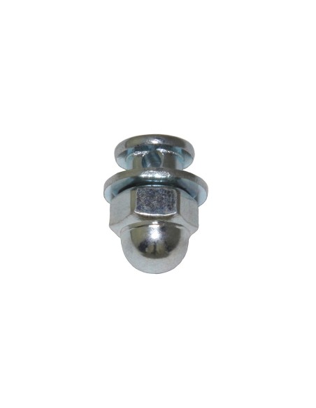 Brake Anchor Bolt/Nut 6mm Chrome.